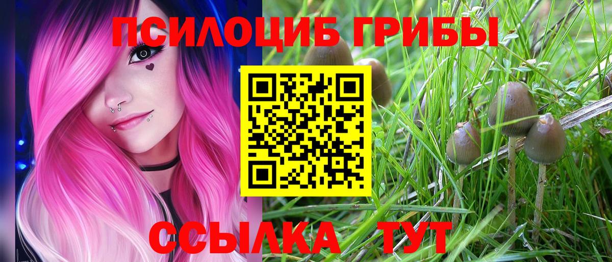 Галлюциногенные грибы прущие грибы Каменск-Уральский